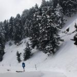 Snowfall In Gulmarg, Pahalgam And Sonamarg