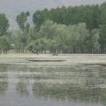 In Protecting The Kashmir Valley, Wular Lake Has Become Harder To Save