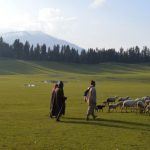 Forest Land Identified For Development After Reorganisation Of Jammu And Kashmir