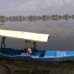 Dirty And Stinking: Dal Lake Victim Of Kashmir Shutdown As Weed Chokes Hotspot