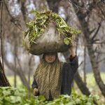 ‘Comeback Of Dogra Rule’: With Special Status Gone, Kashmiris Fear Losing Land Rights Once Again