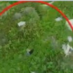 Indian Army Releases Photos Of Dead Pakistan Bat Team Members In Keran Sector