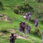 Pakistan Violates Ceasefire Along LOC In Jammu And Kashmir’s Poonch