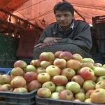 DC Shopian Asks Authorities To Ensure Apple Growers Reap Benefits Of MIS