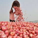Onion Started Crying In Jammu And Kashmir, Prices Increased Three Times, Costlier Than Apple