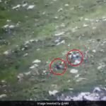 Video Shows Pak Terrorists Flee As Indian Soldiers Fire Near LoC