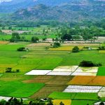 20% Agricultural Land Turns Into Commercial, Residential Colonies In 6 Years