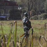 What Rights Teams Have Found