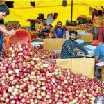 JK Govt Procures 1.34 Lakh Apple Boxes From Fruit Growers In South Kashmir