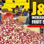 6 Lakh Metric Tonnes Of Fresh Fruit Transported Out Of The State