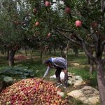 India’s Article 370 Gambit Has Created A New Arena Of Violence