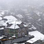Snowfall In Kashmir Damages Apple Orchards, Cripples Life