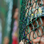 India Gears Up For Second US Congress Hearing On ‘human Rights Situation’ In Kashmir