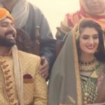 Kashmir The Final Resolution: First Film In The Valley After Abrogation Of Article 370