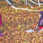 Government Can’t Justify J&K Restrictions