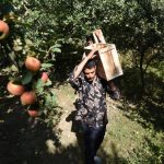 Going Beyond Politics And Bonding With The Farmers Of Kashmir