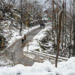 Cold Wave In Ladakh, Jammu And Kashmir Intensifies After Snowfall