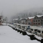 North India In The Grip Of Cold, Cold Winds After Snowfall