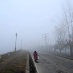 NRC Will Be Held In J&K And Ladakh: BJP Leader